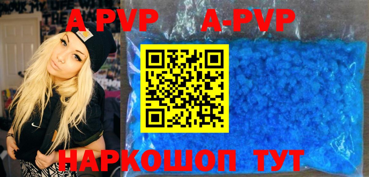 A-PVP СК Котлас