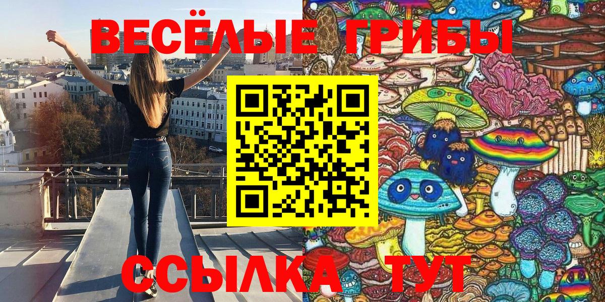 Котлас  Галлюциногенные грибы Magic Shrooms  Вход с VPN 